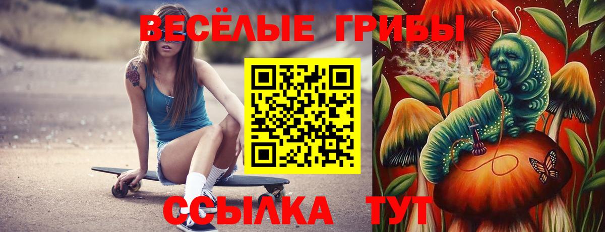 Галлюциногенные грибы GOLDEN TEACHER  Вход с VPN  Феодосия 